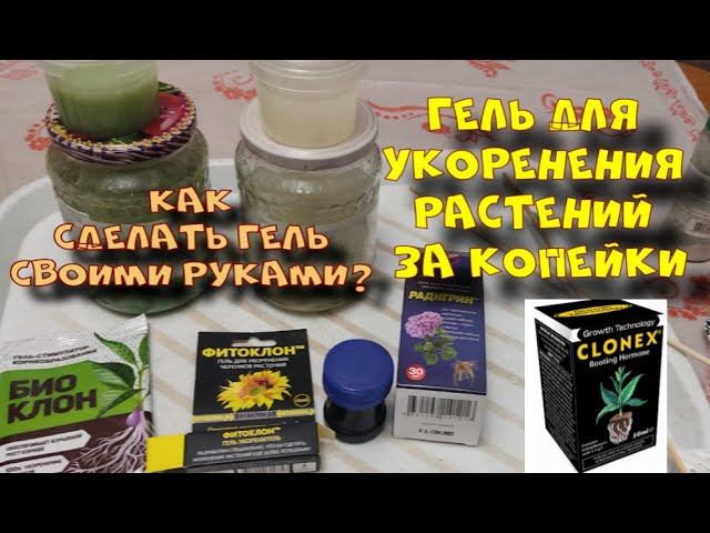 ГЕЛЬ ДЛЯ УКОРЕНЕНИЯ РАСТЕНИЙ ЗА КОПЕЙКИ. смотреть онлайн