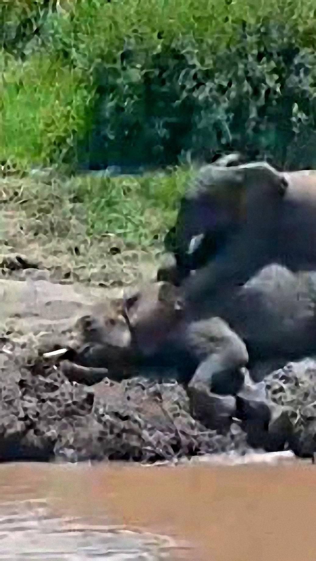 Когда надо вставать на работу смотреть онлайн