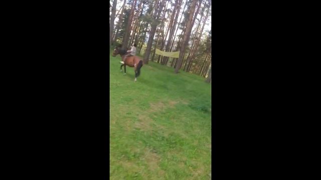 Vlog: прогулка на лошадях/гуляем с Юлей. #лошади-частичкаменя. смотреть онлайн