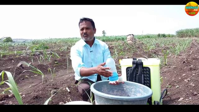 कमी दिवसात उसाची जोमदार वाढ कशी करावी | १९:१९:१९ खताचे व देशी दारूचे ऊसाला फायदे. смотреть онлайн