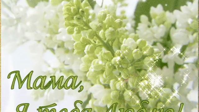С Днём матери, мои мамочки от Осколка льда смотреть онлайн