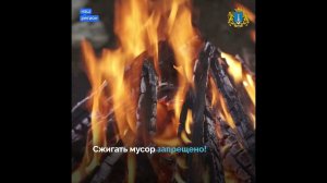В Ульяновскую область вернулось тепло! #ульяновская_область