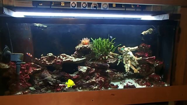 RODI WATER VS Tap Water RESULTS!! PROVEN!! смотреть онлайн