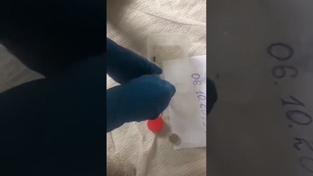 Caluanie Muelear Oksidize Pasteurize 5 Lit Thermostat - Dlo lou смотреть онлайн