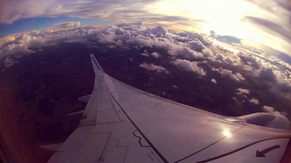 Sub Focus - Could This Be Real - Live at Amnesia