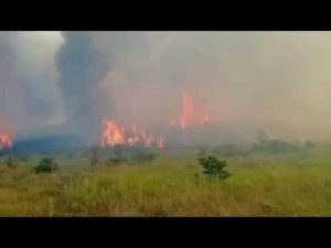 Страшный лесной пожар в Николаевском районе не прекращается