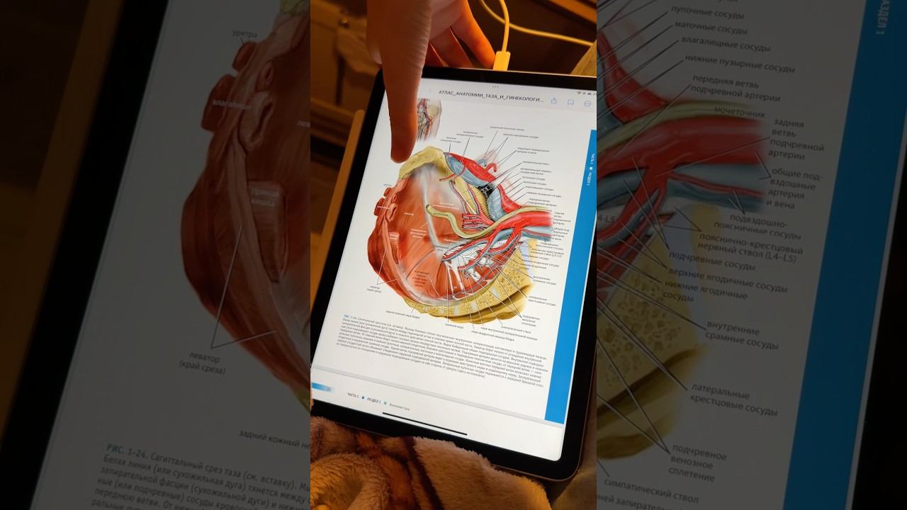 Ординаторские будни акушера-гинеколога ❤️ #ординатура #учеба