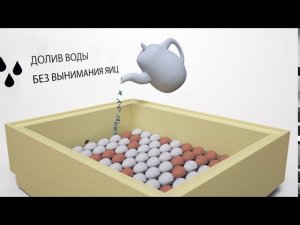 Инкубатор ЗОЛУШКА 2020