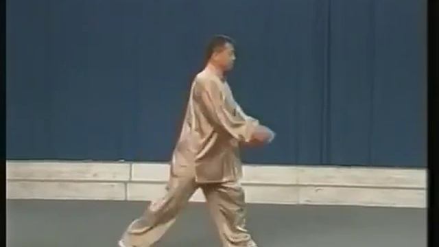 Piguaquan Foundation 1 Master WangZhiHai смотреть онлайн