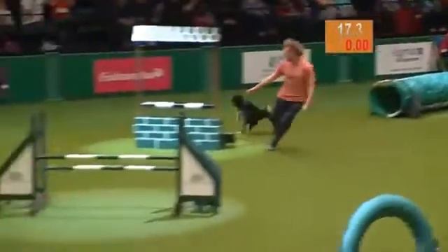 пара собака человек 2 смотреть онлайн