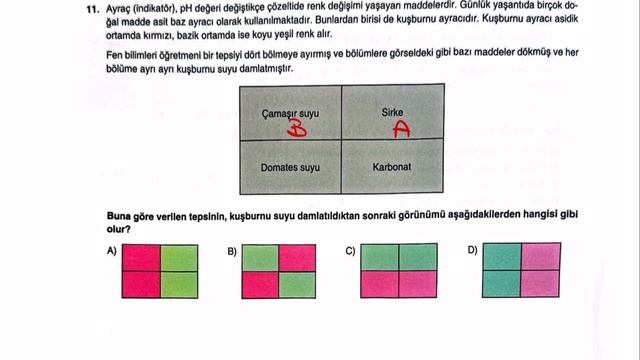 MOZAİK TÜRKİYE GENELİ 4. DENEME FEN MART 2024
