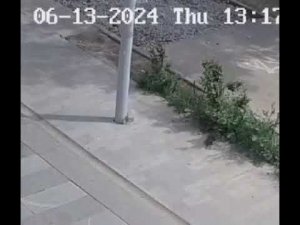 Две недотепы на одном самокате не поделили дорогу со столбом