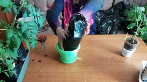 СУПЕР ПРОСТОЙ СПОСОБ ИЗГОТОВЛЕНИЯ ПАКЕТОВ ДЛЯ РАССДЫ! РАССАДУ САЖАТЬ - ОДНО УДОВОЛЬСТВИЕ