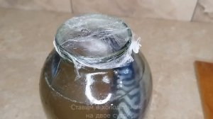 САМЫЙ ВКУСНЫЙ РЕЦЕПТ! ПРОВЕСНАЯ СКУМБРИЯ в домашних условиях! Без возни и заморочек!