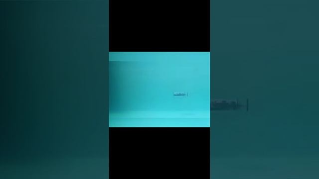 Корпорация Юмора - Премию этому господину за прямые руки и толику фантазии! смотреть онлайн