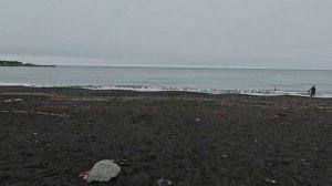 Андреевка 2024