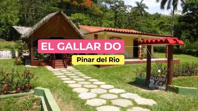Top 10 Best Restaurants to Visit in Pinar del Río | Cuba - English смотреть онлайн