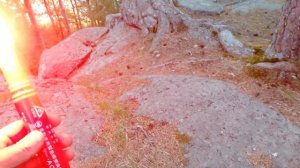 Фальшвеер от медведя и волков,  обзор и отзыв. ( про- во  Япония).