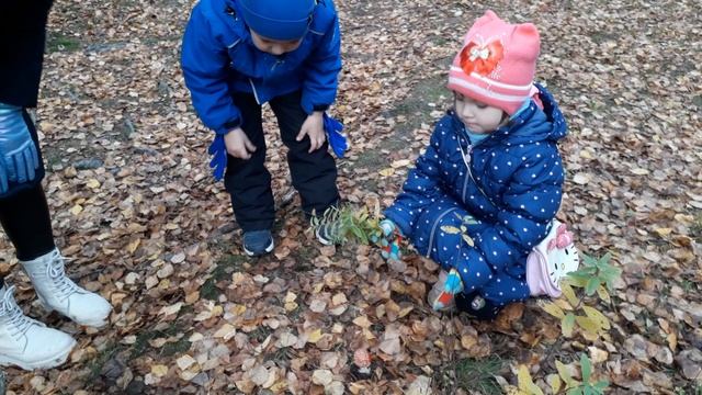 Где в Санкт-Петербурге собирать грибы. Знает Ксюша. Мухомор- очень красивый в Гелиос отеле. смотреть онлайн