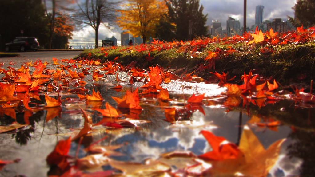 Впечатление. Сергей Чекалин
#сезонконтентаRUTUBE