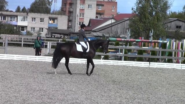 Е. Матюшенко - Сабрина, езда для лошадей 6 лет, сентябрь 2018 смотреть онлайн