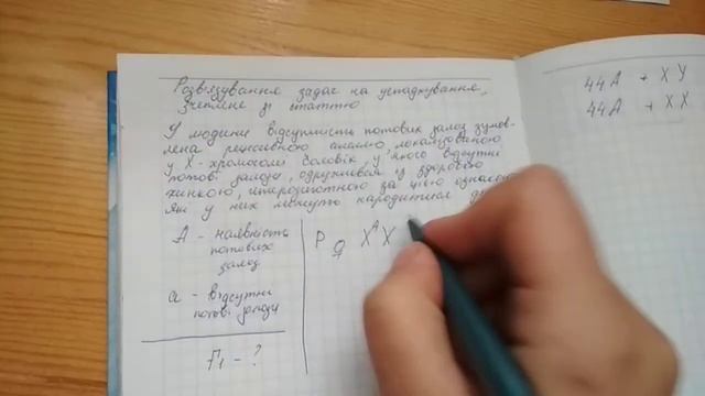 Розв'язання задач на успадкування, зчеплене зі статтю смотреть онлайн
