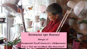 Болталка про Фиалки! Выпуск 5: Воскресный Полив Сенполий с Удобрениями! Как и Чем мы поливаем фиалки