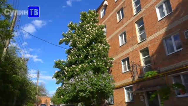 Проблемы поселка Горняцкий 18 05 2022 смотреть онлайн
