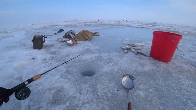 Клевый клев!