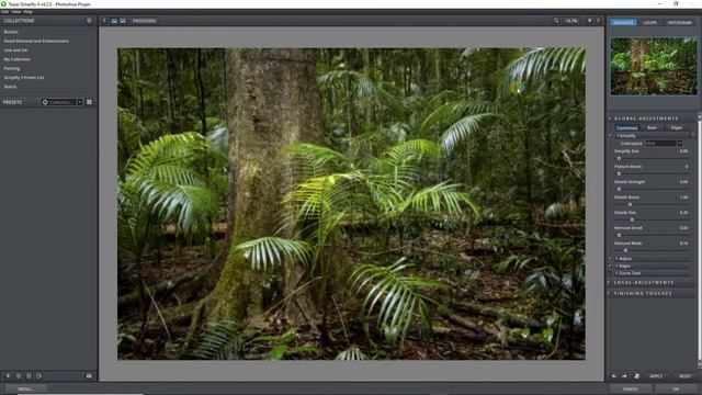 Lets Talk Photography - The Blackall Range смотреть онлайн