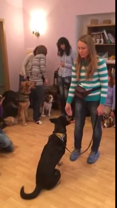 Ляля считает смотреть онлайн