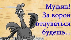 Смешные анекдоты о петухе, панке и трёх подружках на курорте