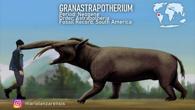 CENOZOIC ERA . Animals Size comparison. Paleoart смотреть онлайн