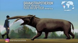 CENOZOIC ERA . Animals Size comparison. Paleoart