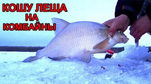 КОСИМ ЛЕЩА! ОТКРЫТИЕ СЕЗОНА! РЫБАЛКА НА КОМБАЙНЫ.