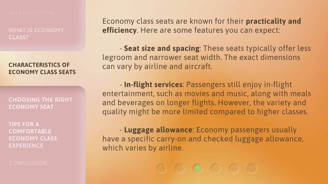 Unveiling the Economy Class: A Journey through the Most Popular Way to Fly смотреть онлайн