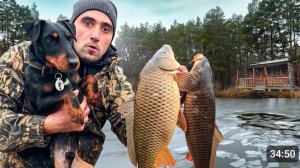 Ловля карпа на Хапуги. ловля карпа по первому льду.