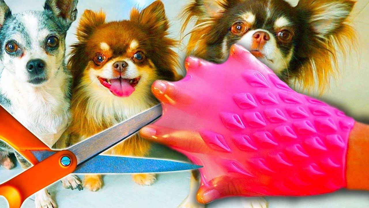 АНТИСТРЕССЫ ПРОТИВ ВОЛШЕБНЫХ ПИТОМЦЕВ! ЧТО ВНУТРИ? РАЗРЕЗАЕМ АНТИСТРЕССЫ И РЕСТОРАН ДЛЯ ИНОПЛАНЕТЯН смотреть онлайн