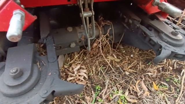 Кукурузная жатка Drago 2 Olimac экспресс-обзор от Константина Сорокина