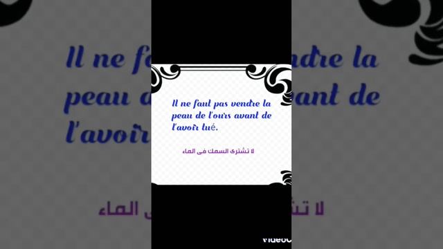 #proverbes_français_أمثال_فرنسية смотреть онлайн