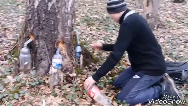 Березовий СІК смотреть онлайн