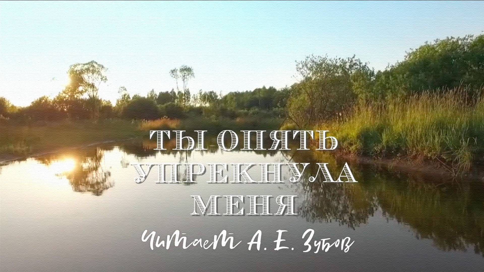 Н. А. Некрасов "Ты опять упрекнула меня" (из поэмы "Мороз, Красный нос") смотреть онлайн