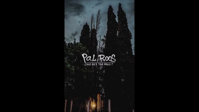 Pal Roos - ¿Que hice tan malo? (Audio Oficial) смотреть онлайн