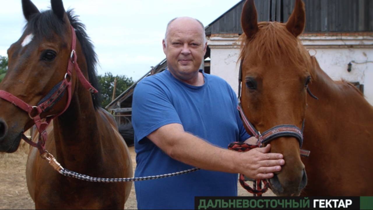 Дальневосточный гектар смотреть онлайн