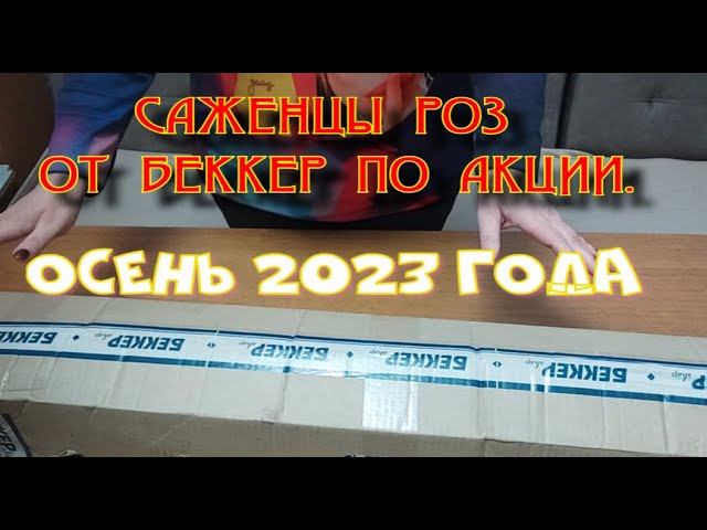 САЖЕНЦЫ РОЗ ОТ БЕККЕР ПО АКЦИИ. Распаковка. смотреть онлайн