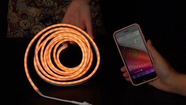 Smart RGBIC Led Flexible Neon Light With Music Control Outdoor Waterproof