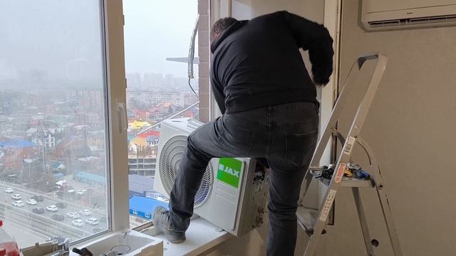 Тюльпанов Plus