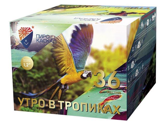 Батарея салютов PKU4100 Утро в тропиках смотреть онлайн