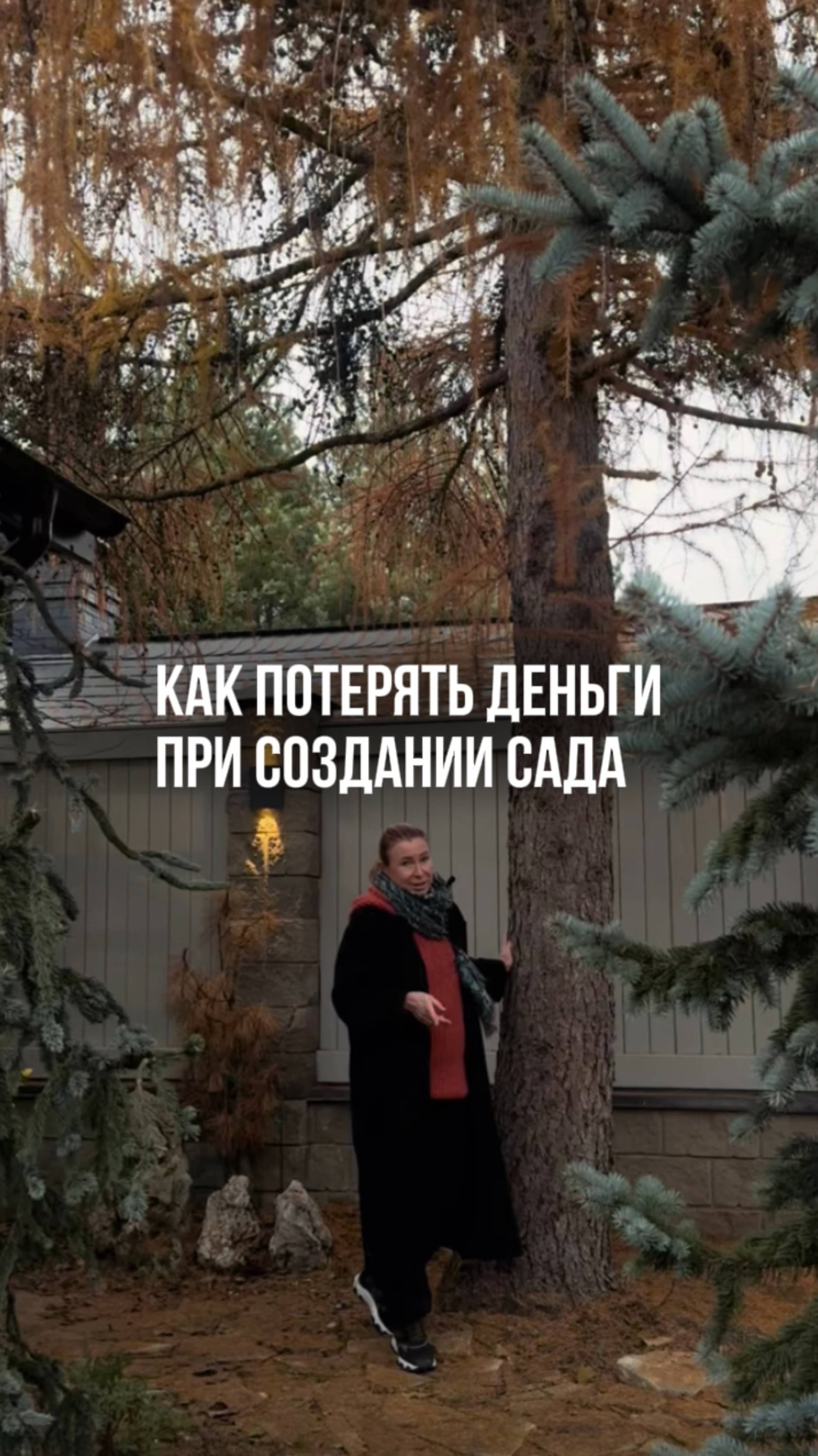 Как потерять деньги при создании сада смотреть онлайн