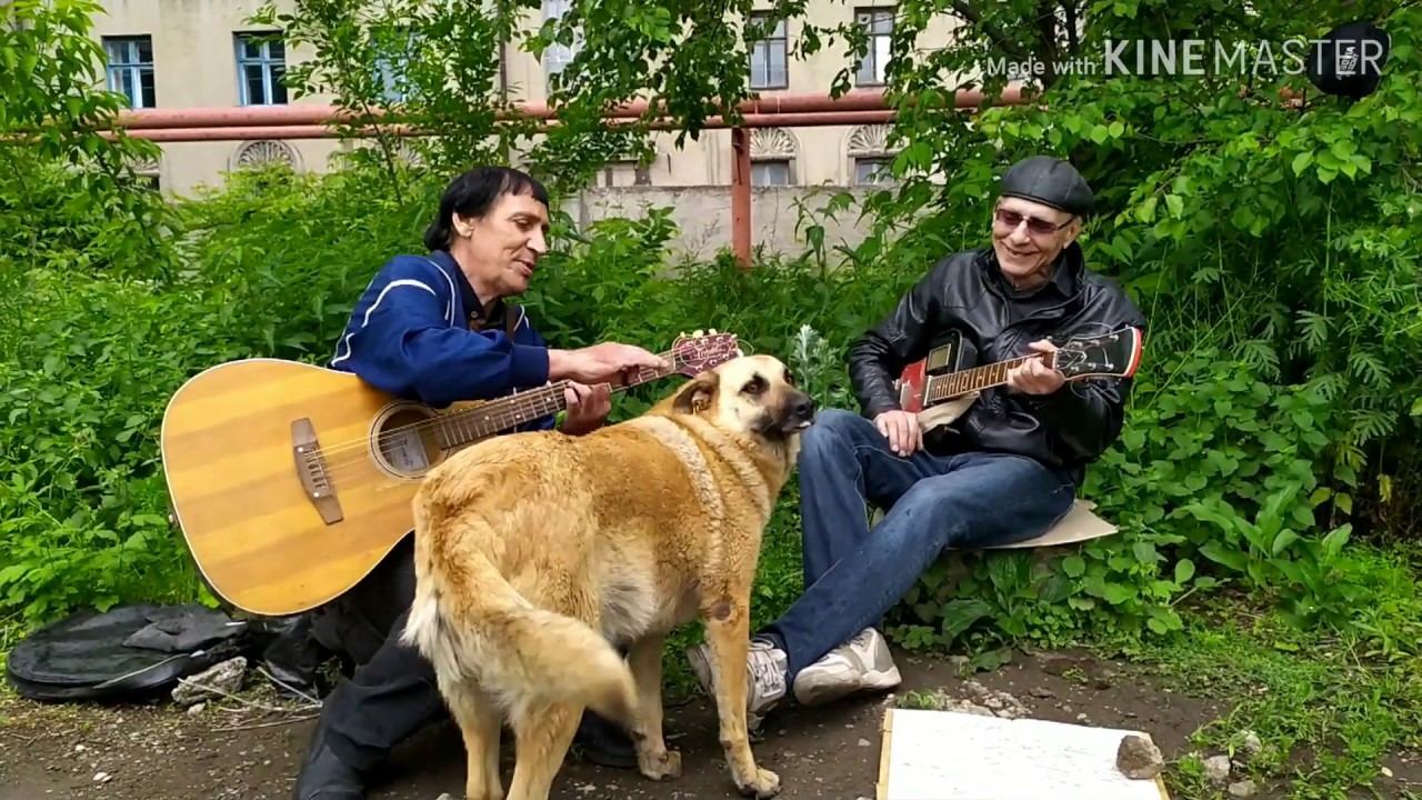 Шуточная Песня про Дачников (авторская песня на гитаре) смотреть онлайн